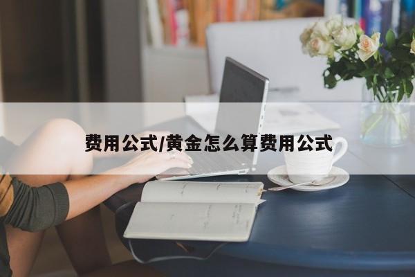 费用公式/黄金怎么算费用公式