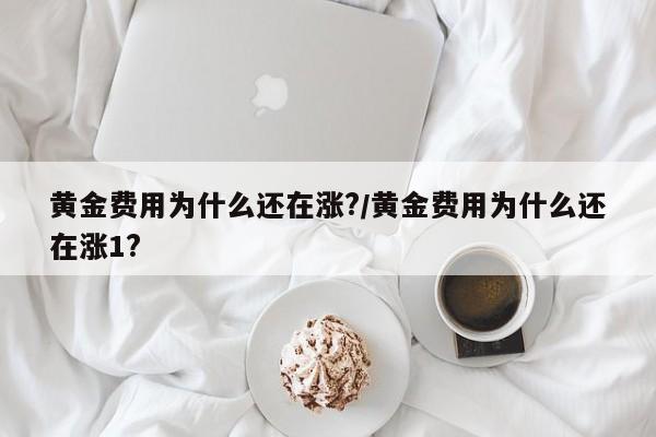 黄金费用为什么还在涨?/黄金费用为什么还在涨1?